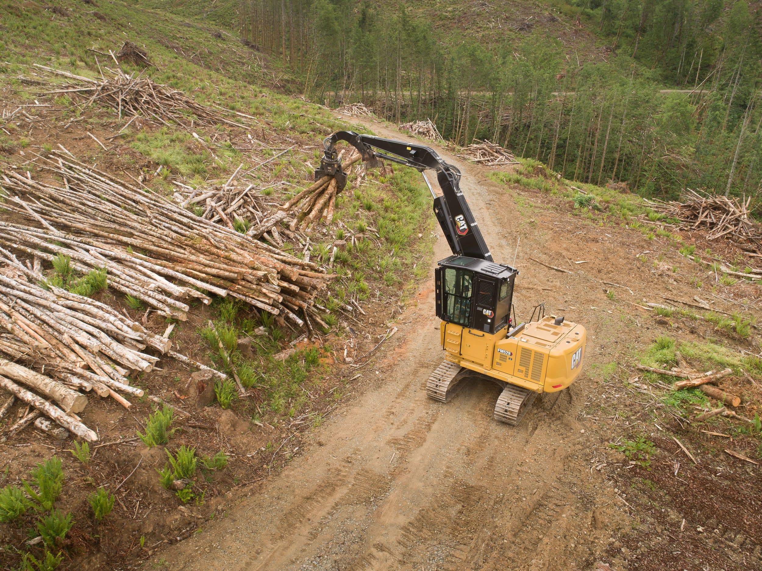 Cat® FM528 General Forestry and Log Loader Machine