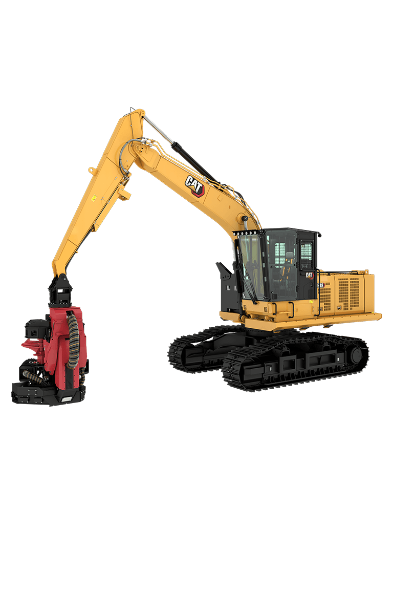 Cat 548 Forest Machine Portrait