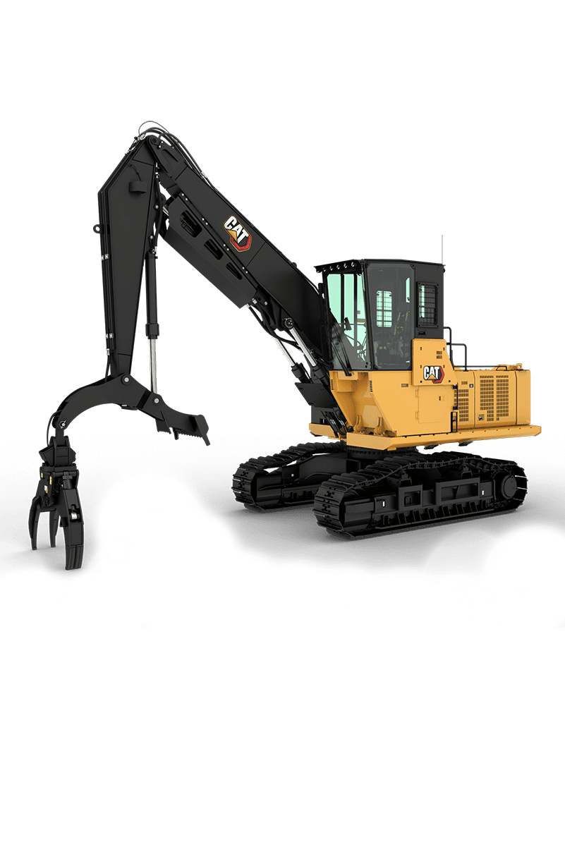 Cat 558 Forest Machine Portrait